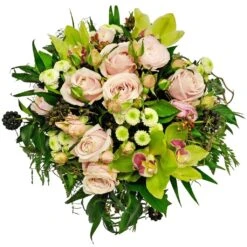 Send 'Perfect Gift' To Bulgaria