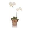 Send 'Floral Arrangement With White Orchid' To Czech Republic -Plants Ventas 526627