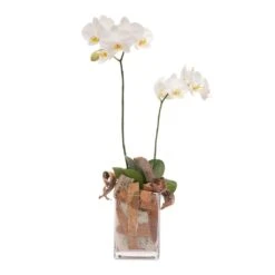 Send 'Floral Arrangement With White Orchid' To Czech Republic