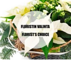 Send 'White Christmas Planting, Florist's Choice' To Finland