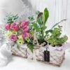 Send 'A Walk In The Garden Basket' To India -Plants Ventas 530574 3