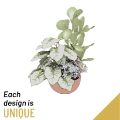 Send 'Planted Bowl - Arrangement' To Greece