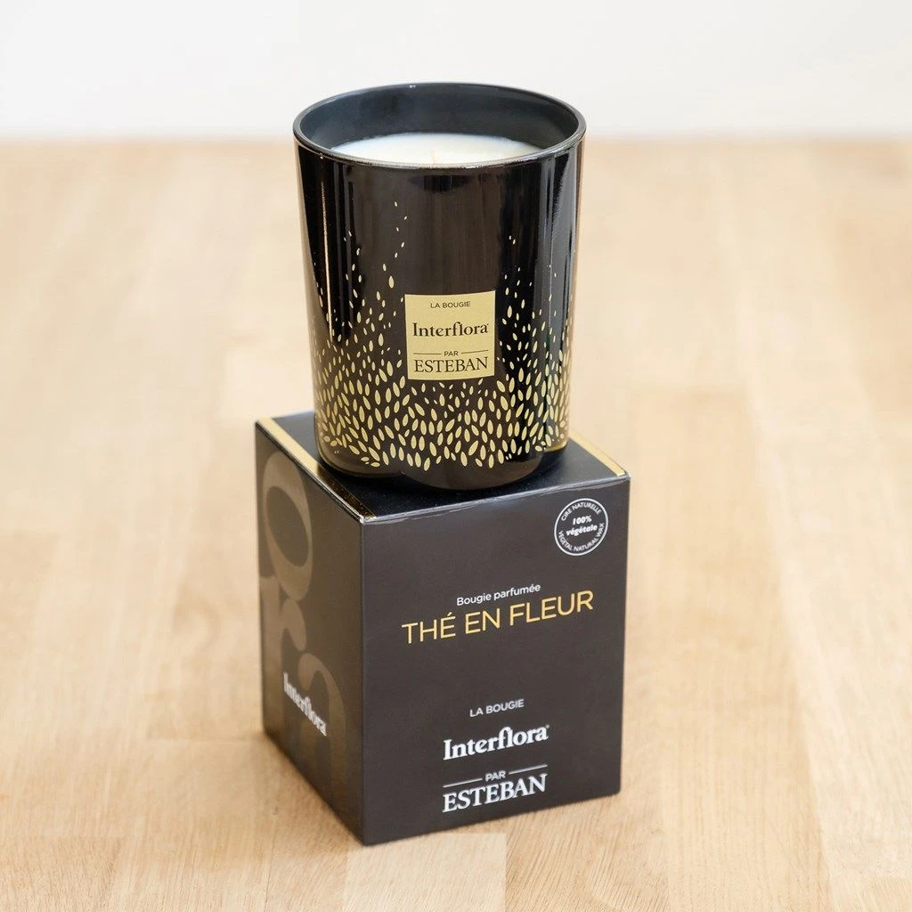 Send 'Candide Et Sa Bougie Parfumee Esteban' To France 6 Send 'Candide Et Sa Bougie Parfumee Esteban' To France - Imagen 4