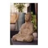 Buddha Viro -Plants Ventas buddha viro