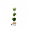 Jardin Vertical Citysens TERRA Xx Blanco 2 Jardin Vertical Citysens TERRA Xx Blanco -Plants Ventas jardin vertical citysens