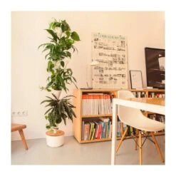 Jardin Vertical Citysens SMART Xx Blanco -Plants Ventas jardin vertical citysens smart 4